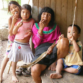 アマゾン屋のこと　シピボ族の泥染め-アマゾン屋-　茶色