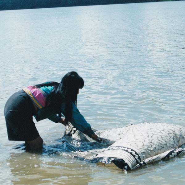 白地の泥染めの工程 シピボ族の泥染め-アマゾン屋-