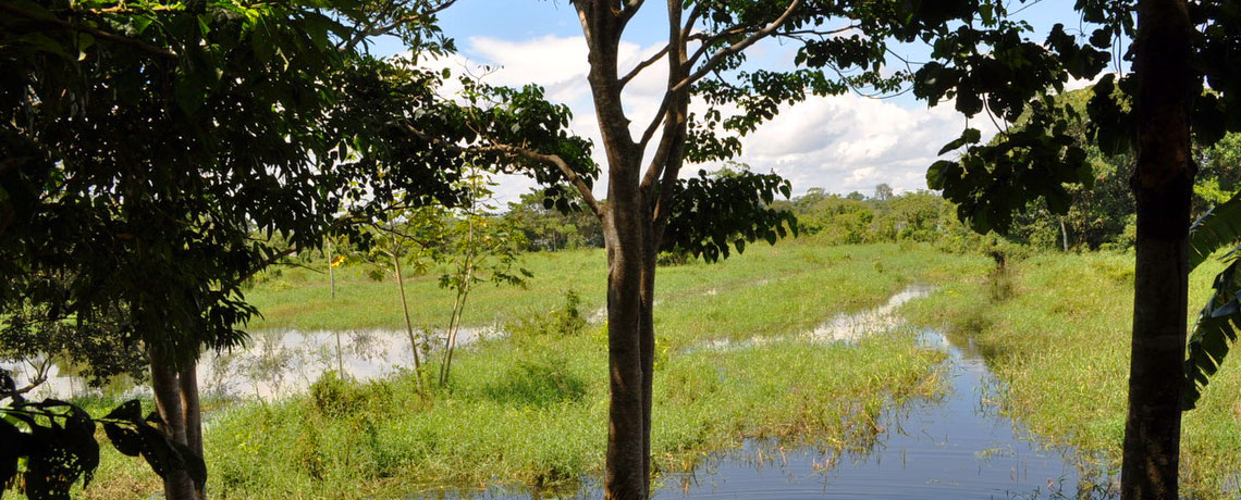 お問い合わせ-アマゾン屋 - アマゾン・シピボ族の泥染め