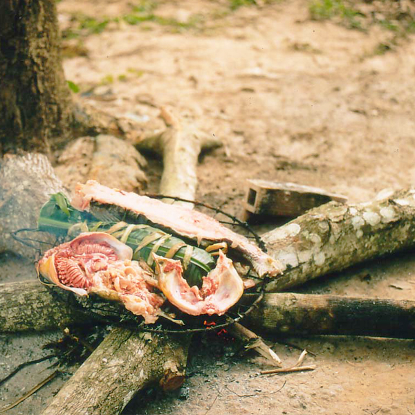 シピボ族の人々-アマゾン屋 - アマゾン・シピボ族の泥染め