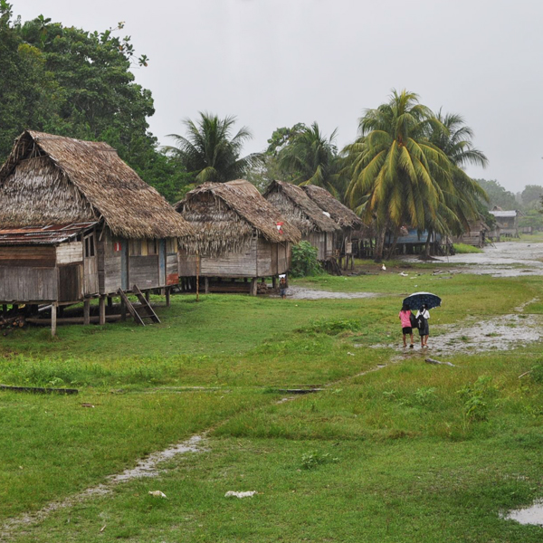 シピボ族の人々-アマゾン屋 - アマゾン・シピボ族の泥染め